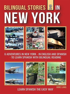 cover image of In New York